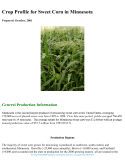 Crop Profile for Sweet Corn in Minnesota