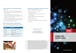 Feed Enzymes - Danisco Animal Nutrition