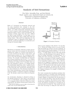 Analysis of Bird Formations (I)