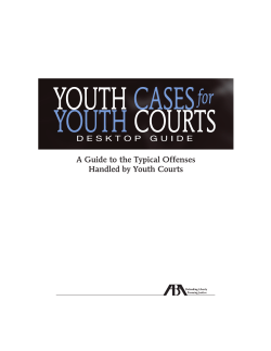 A Guide to the Typical Offenses Handled by Youth Courts