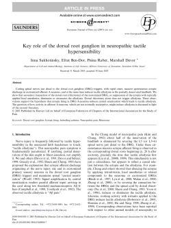 Key role of the dorsal root ganglion in neuropathic tactile