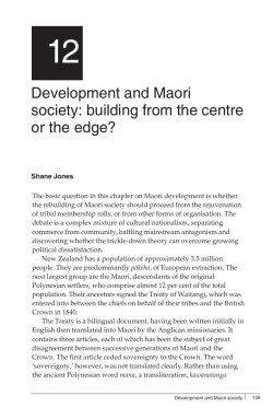 Development and Maori society: building from the centre or