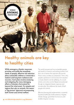 Case study: Haiti earthquake