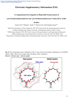 Electronic Supplementary Information