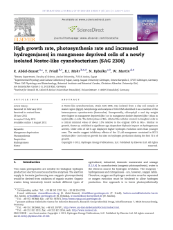 High growth rate, photosynthesis rate and increased hydrogen(ases
