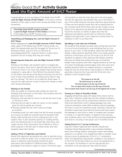 Just the Right Amount of SALT Poster