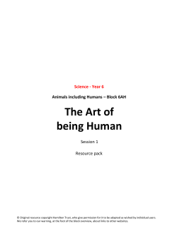 The Art of being Human