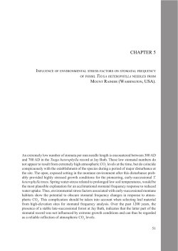 Chapter 5: Influence of environmental stress factors on stomatal