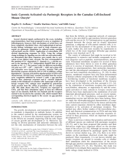 Ionic Currents Activated via Purinergic Receptors in the Cumulus