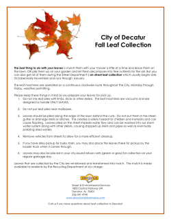 City of Decatur Fall Leaf Collection