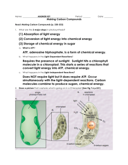 7-3 Making Carbon Compounds KEY