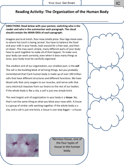 IC Reading Activity: The Organization of the Human Body