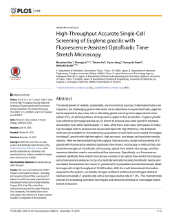High-Throughput Accurate Single-Cell Screening of Euglena gracilis