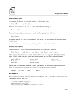 Singular and Plural - RISD Writing Center