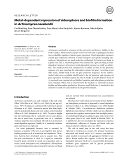 Metal-dependent repression of siderophore and biofilm formation in