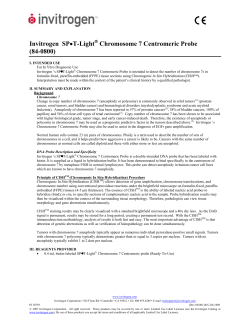 Chromosome 7 Centromeric Probe