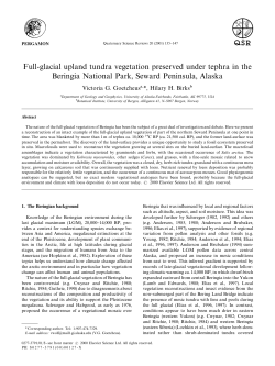 Full-glacial upland tundra vegetation preserved under tephra in the