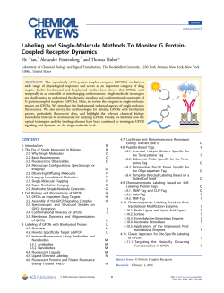 Labeling and Single-Molecule Methods To