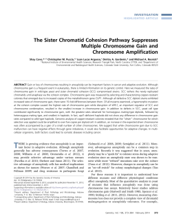 The Sister Chromatid Cohesion Pathway Suppresses