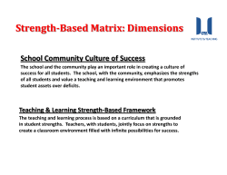 Strength-Based Matrix: Dimensions
