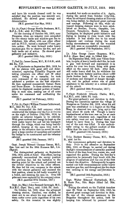 SUPPLEMENT TO THE LONDON GAZETTE, 30 JULY, 1919. 9691