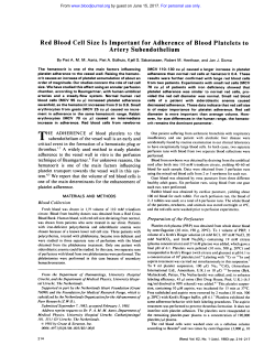 Red Blood Cell Size Is Important for Adherence of