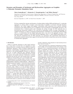 Structure and dynamics of surfactant and