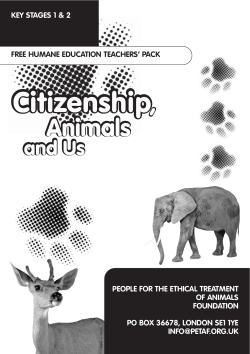 pack - PETA`s education