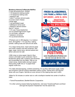 Blueberry-Almond Coffeecake Muffins