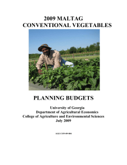 2009 Conventional Vegetables - UGA CAES