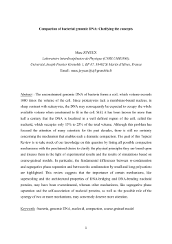 Compaction of bacterial genomic DNA: Clarifying the concepts Marc