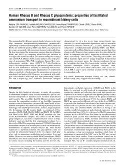 Human Rhesus B and Rhesus C glycoproteins: properties of
