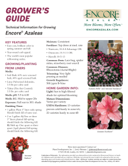grower`s guide - Encore&reg; Azalea