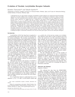 Evolution of nicotinic acetylcholine receptor subunits.