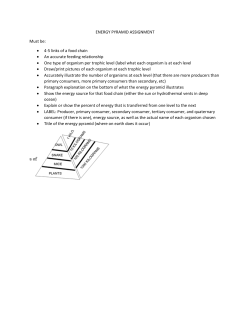 ENERGY PYRAMID ASSIGNMENT Must be: &bull; 4