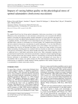 PDF - Tufts University