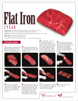 Additional Flat Iron Info