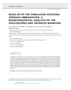 build-up of the himalayan avifauna through immigration