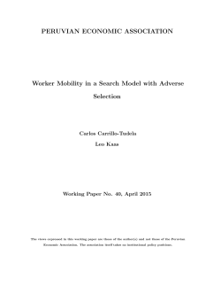 PERUVIAN ECONOMIC ASSOCIATION Worker Mobility in a Search