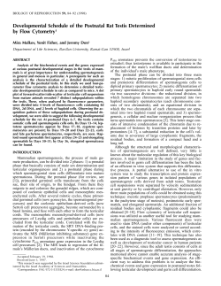 Developmental Schedule of the Postnatal Rat Testis Determined by