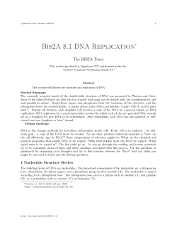 Bis2A 8.1 DNA Replication