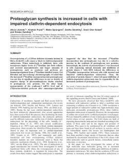 Proteoglycans in HeLa dynK44A cells