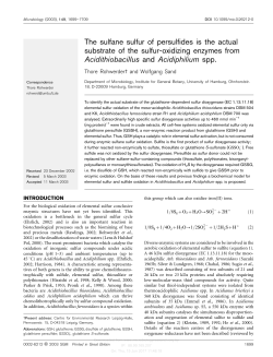 The sulfane sulfur of persulfides is the actual