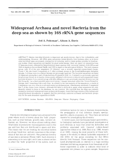 Full text in pdf format