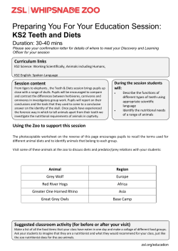 Pre-visit sheet - Teeth and Diets