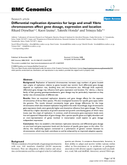 Differential replication dynamics for large and small Vibrio