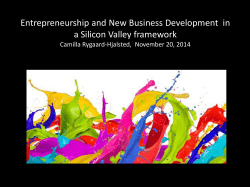 Entrepreneurship and New Business Development in a Silicon