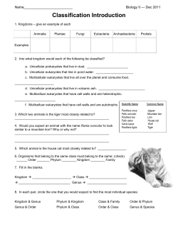 Classification Introduction