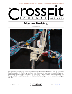 Macroclimbing