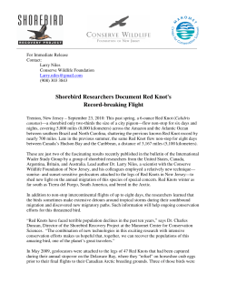 Shorebird Researchers Document Red Knot`s Record